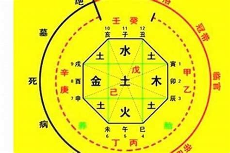 喜用神分析|八字喜用神